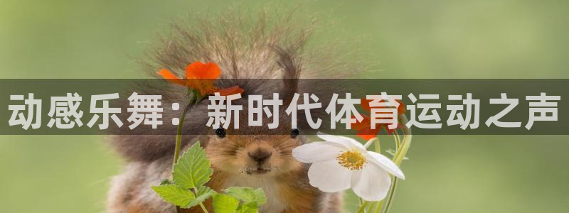 动感乐舞：新时代体育运动之声