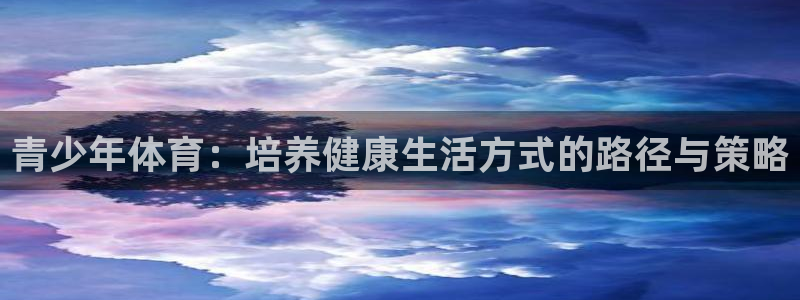 青少年体育：培养健康生活方式的路径与策略