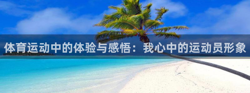 体育运动中的体验与感悟：我心中的运动员形象