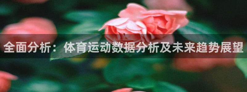 全面分析：体育运动数据分析及未来趋势展望