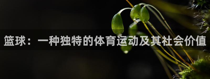 篮球：一种独特的体育运动及其社会价值