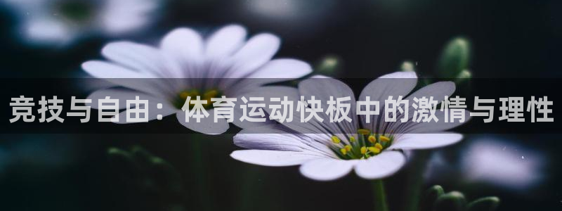 竞技与自由：体育运动快板中的激情与理性