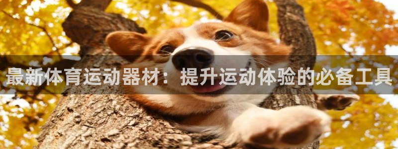 最新体育运动器材：提升运动体验的必备工具