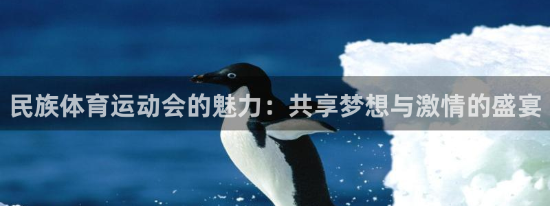 民族体育运动会的魅力：共享梦想与激情的盛宴